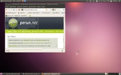 perun.net auf Ubuntu 10.04