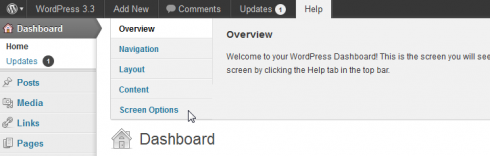 Screen Options als Teil der WordPress-Hilfe