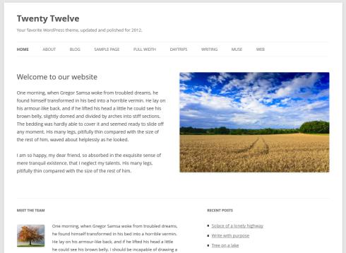 Die Startseite des WordPress-Themes Twenty Twelve