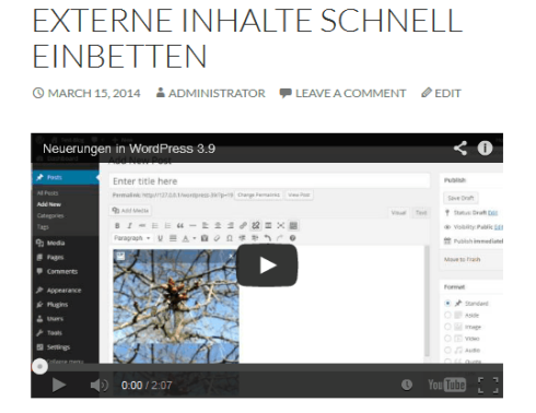 Eingebettes Video im Frontend von WordPress